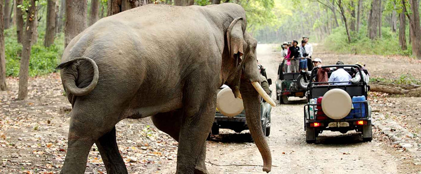 jim corbett Tour